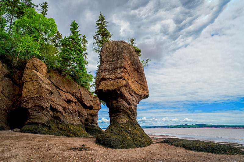 fundy-national-park fundy national park